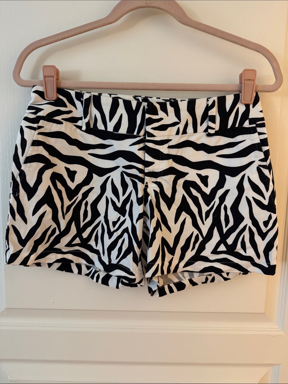 Zebra Print Women’s Shorts - Black & White